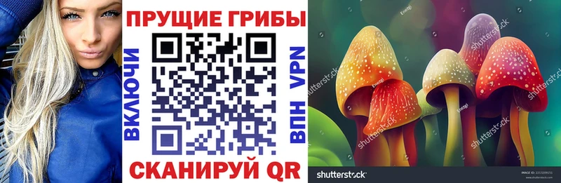 MEGA Черепаново Галлюциногенные грибы Psilocybe